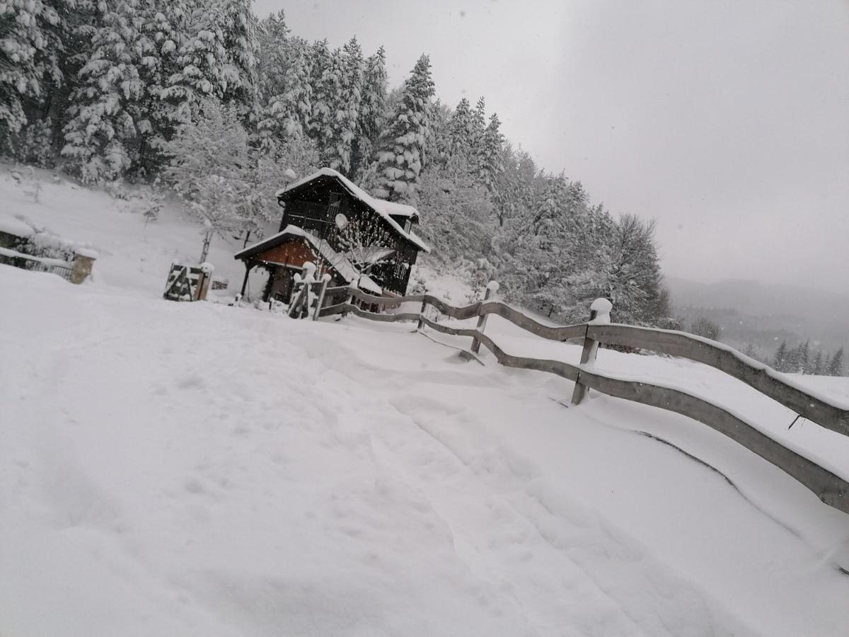 Vikendica Moonlight Villa Zaovine Exterior photo